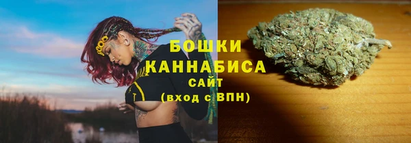 тгк Козельск