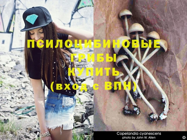 спиды Козловка
