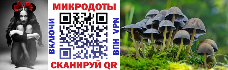 Псилоцибиновые грибы прущие грибы  как найти   МЕГА онион  Нариманов 